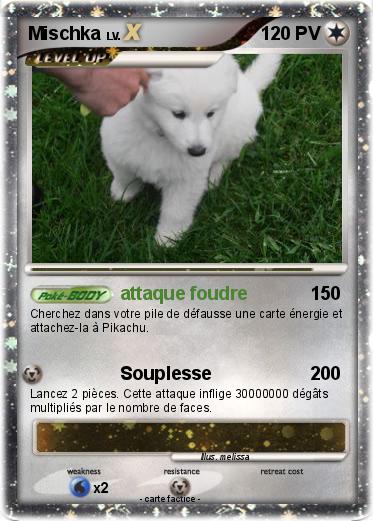 Pokemon Mischka