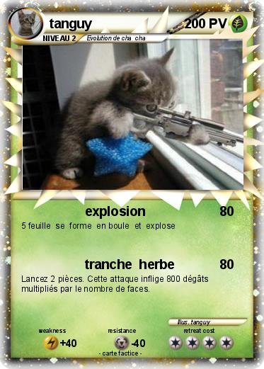 Pokemon tanguy