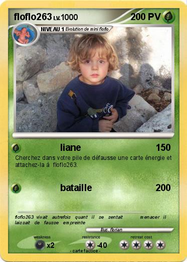 Pokemon floflo263