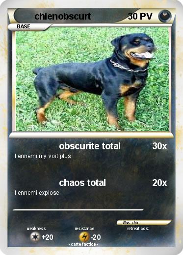 Pokemon chienobscurt