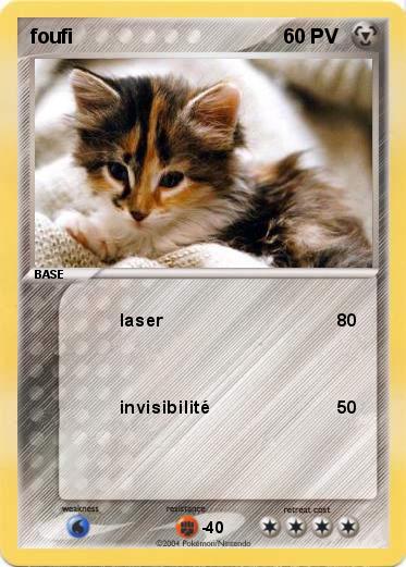 Pokemon foufi