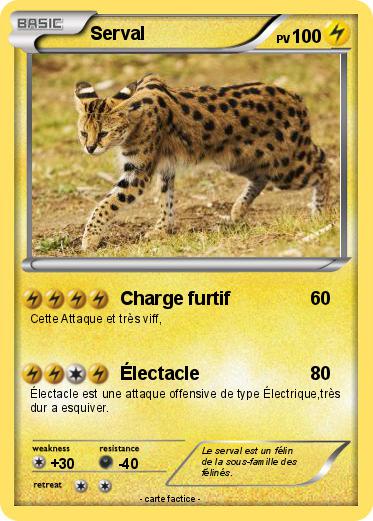 Pokemon Serval