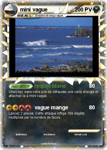 Pokemon mini vague