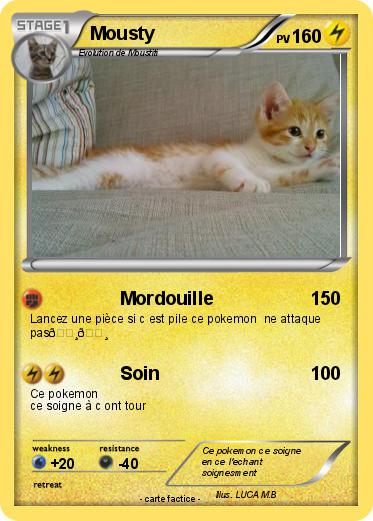 Pokemon Mousty
