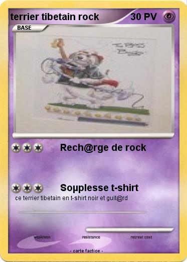 Pokemon terrier tibetain rock