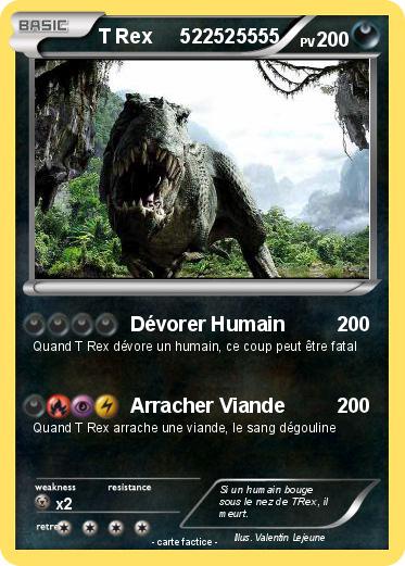 Pokemon T Rex     522525555