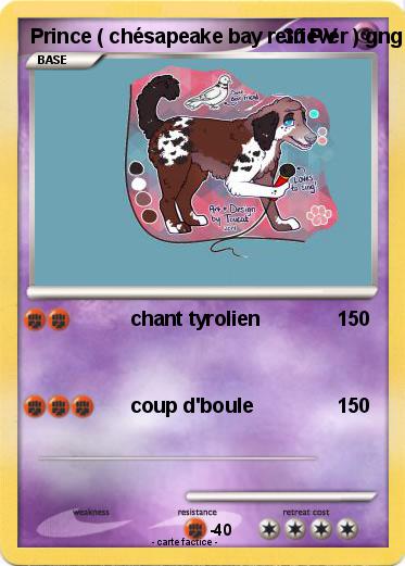 Pokemon Prince ( chésapeake bay retriever ) gng