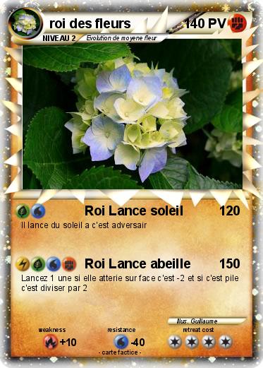 Pokemon roi des fleurs