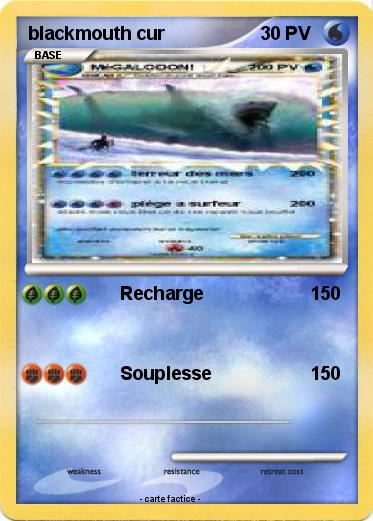 Pokemon blackmouth cur