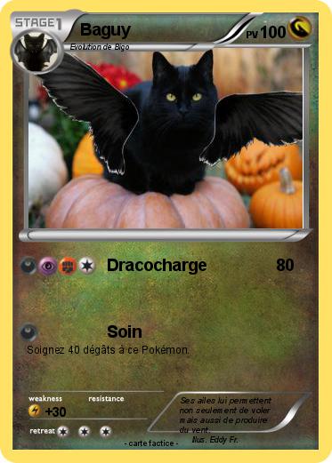 Pokemon Baguy