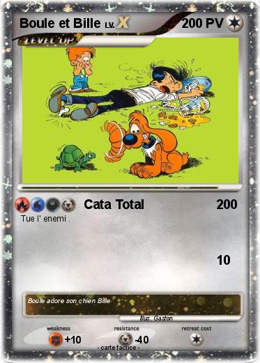 Pokemon Boule et Bille