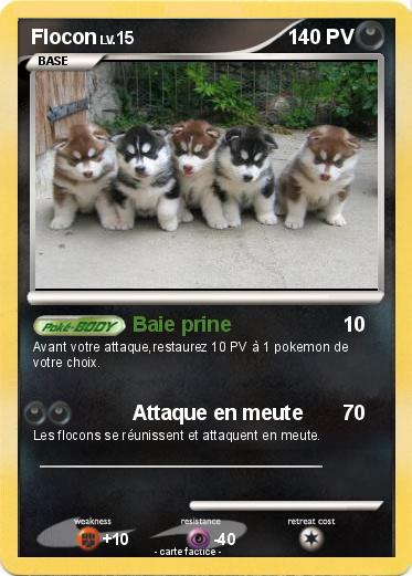 Pokemon Flocon