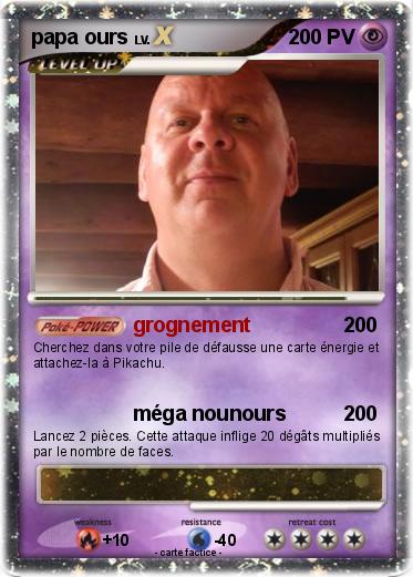 Pokemon papa ours