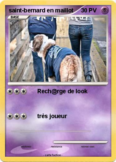 Pokemon saint-bernard en maillot
