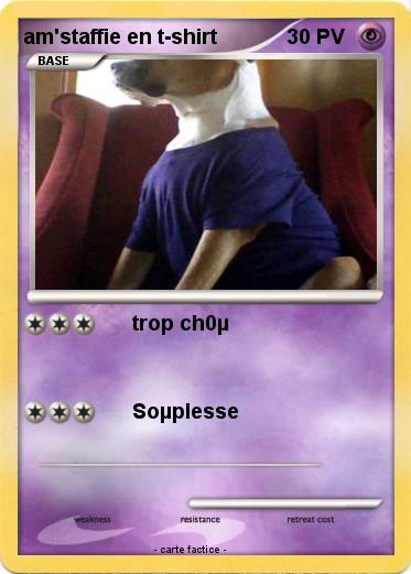 Pokemon am'staffie en t-shirt