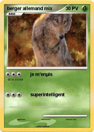 Pokemon berger allemand mix