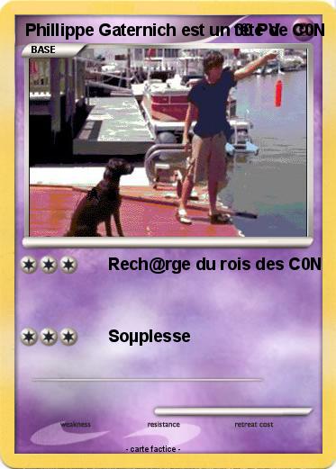 Pokemon Phillippe Gaternich est un tête de C0N