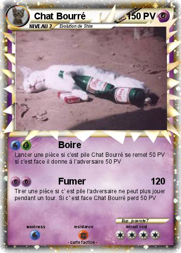 Pokemon Chat Bourré