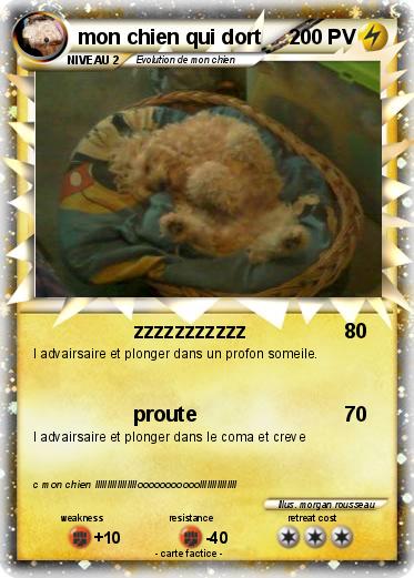 Pokemon mon chien qui dort