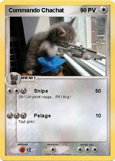 Pokemon Commando Chachat