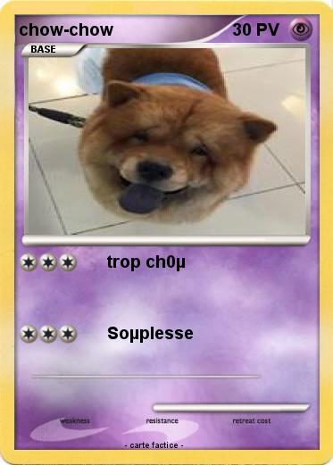 Pokemon chow-chow