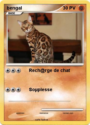 Pokemon bengal