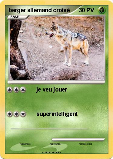 Pokemon berger allemand croisé