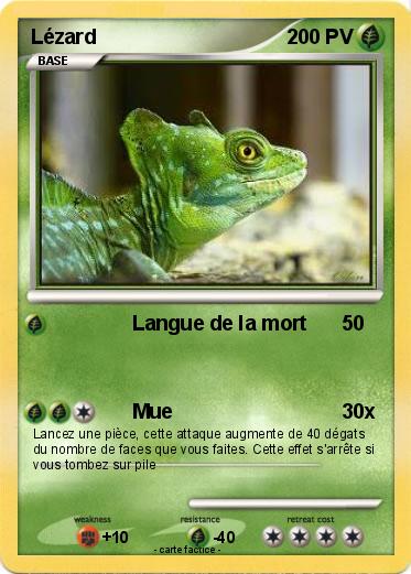 Pokemon Lézard