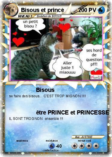 Pokemon Bisous et prince