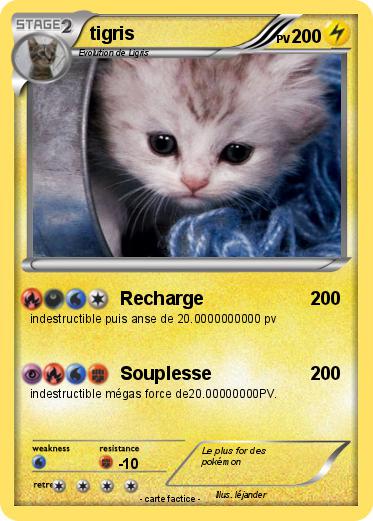 Pokemon tigris