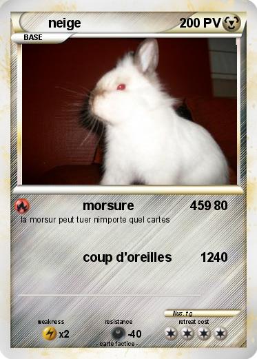 Pokemon neige