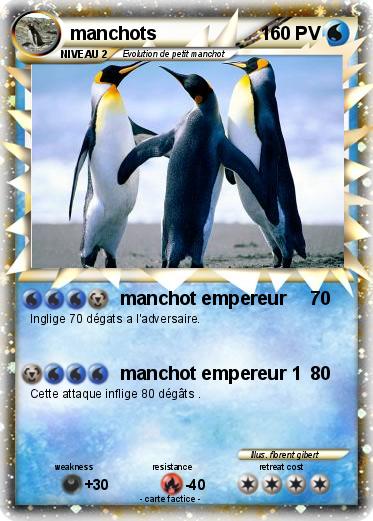 Pokemon manchots