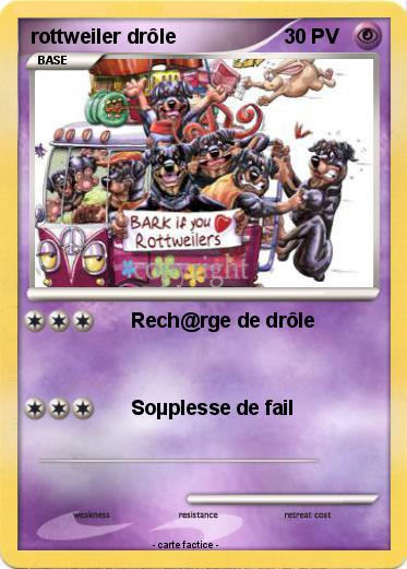 Pokemon rottweiler drôle