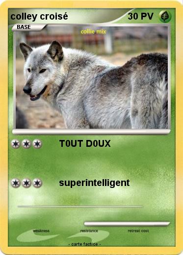 Pokemon colley croisé