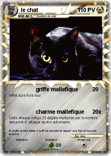 Pokemon le chat
