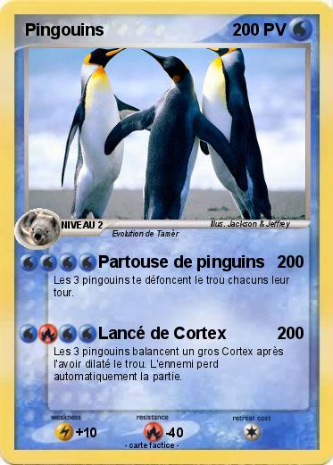 Pokemon Pingouins