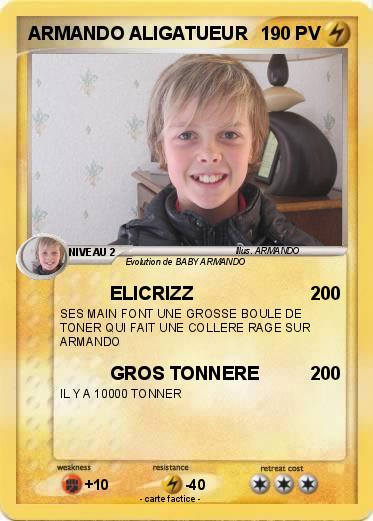 Pokemon ARMANDO ALIGATUEUR