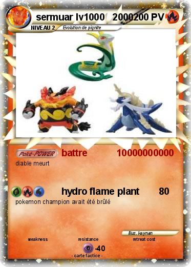Pokemon sermuar lv1000   2000