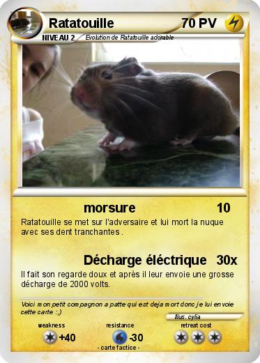 Pokemon Ratatouille