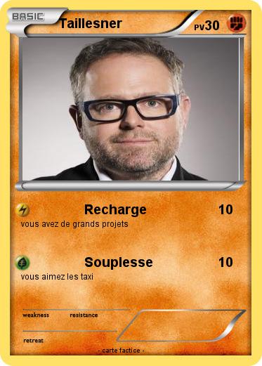 Pokemon Taillesner