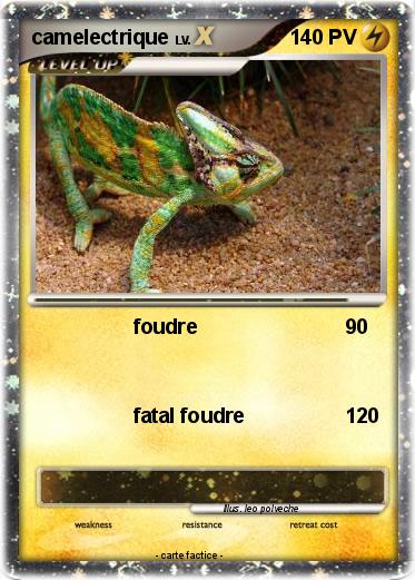 Pokemon camelectrique