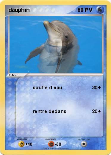 Pokemon dauphin