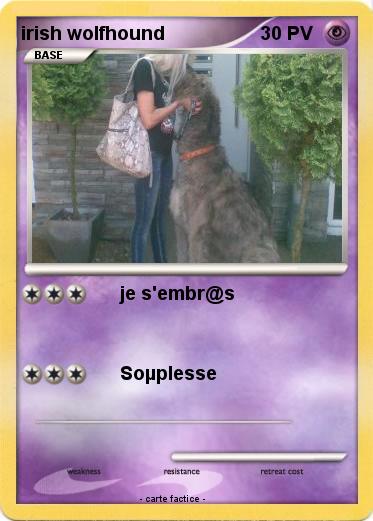 Pokemon irish wolfhound
