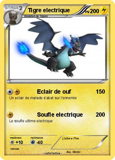 Pokemon Tigre electrique