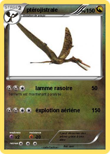 Pokemon ptérojistrale