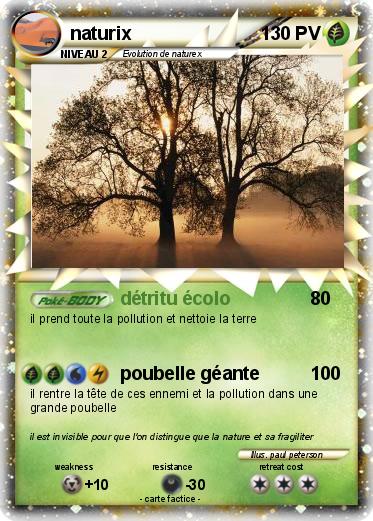Pokemon naturix