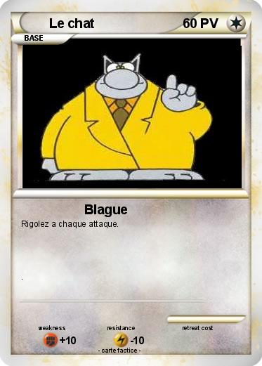 Pokemon Le chat