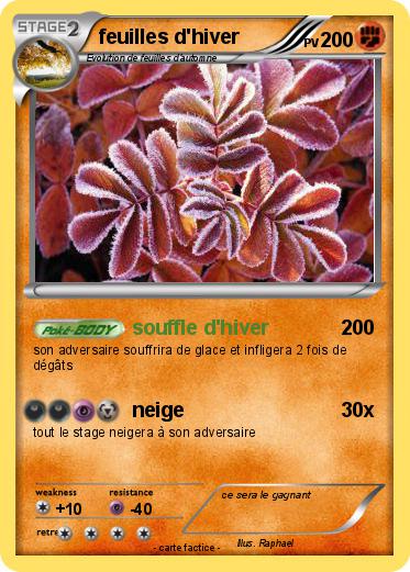 Pokemon feuilles d'hiver
