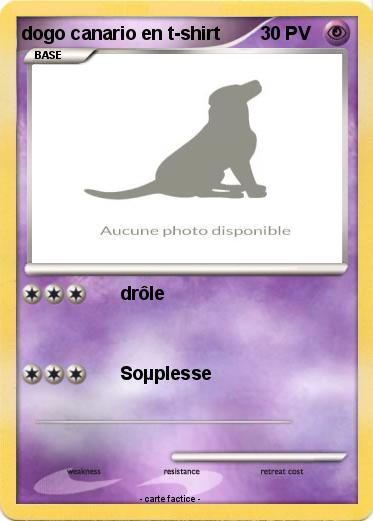 Pokemon dogo canario en t-shirt