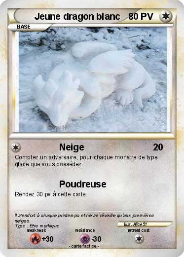 Pokemon Jeune dragon blanc